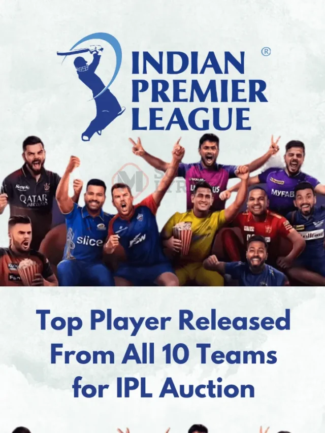 Top Player Released From All 10 Teams for IPL Auction
